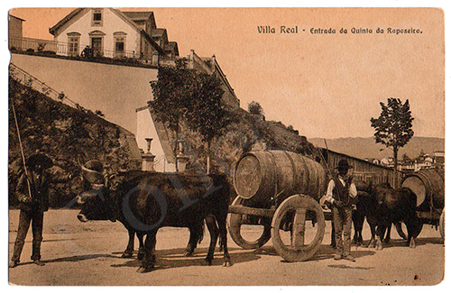 Postal antigo de Vila Real